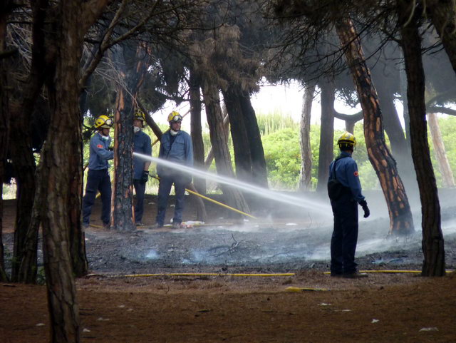 Bombers treballant per apagar un incendi a la pineda de Llevant Mar (Gav Mar) (19 Maig 2012)